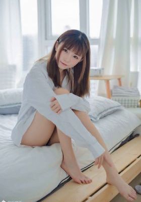 加菲猫家族